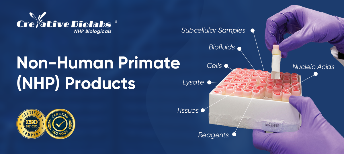 NHP Products