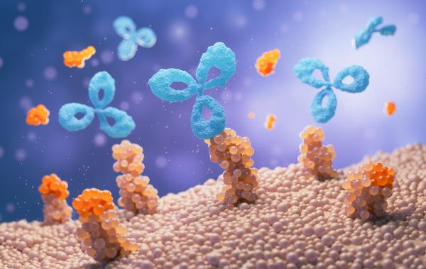 high-performance antibody discovery platforms