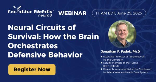 Neural Circuits of Survival: How the Brain Orchestrates Defensive Behavior