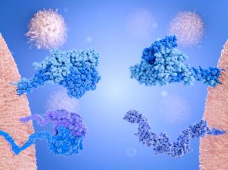 membrane protein receptor