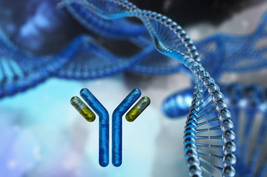 Creative Biolabs