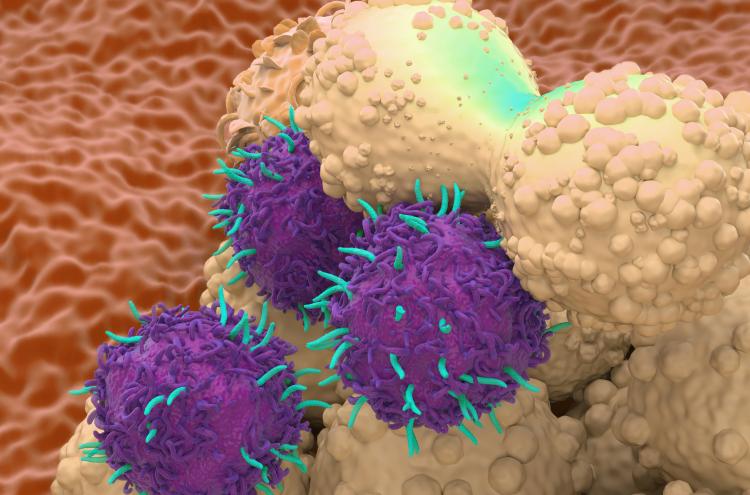 Creative Biolabs