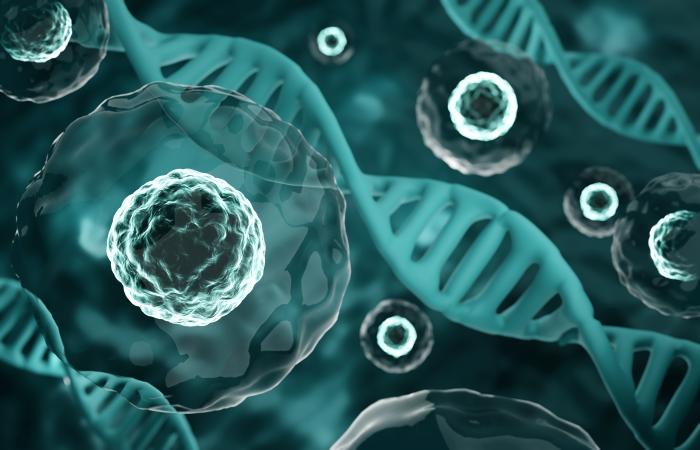 Creative Biolabs