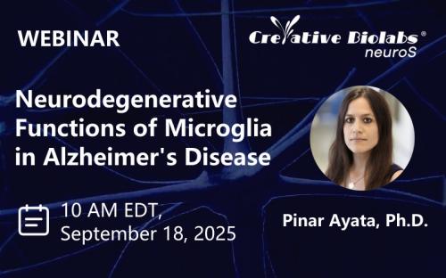 Upcoming Webinar: Neurodegenerative Functions of Microglia in Alzheimer's Disease