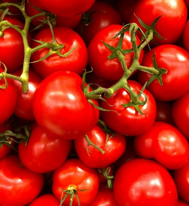 A pile of tomatoes with green stemsDescription automatically generated